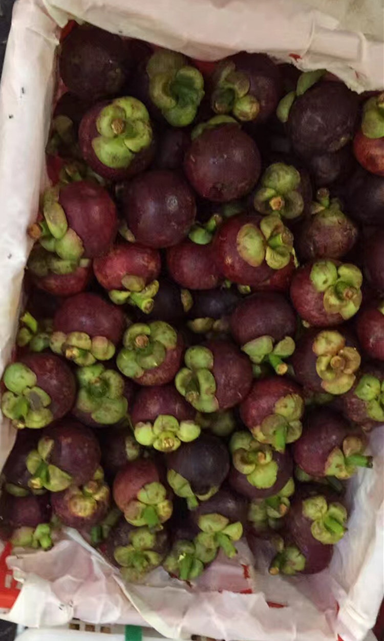 台湾鲜果新鲜水果泰国进口龙牌5a山竹大果山竹