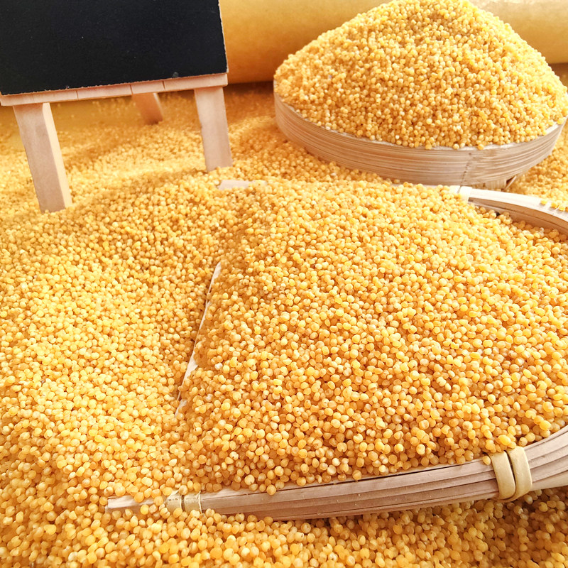 小米山西食用农家黄小米5斤散装武乡黄粘稠米香小米