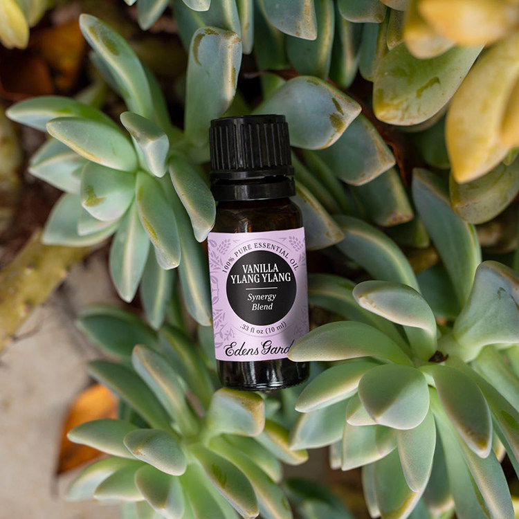 ylangedensgarden伊甸园vanilla香草依兰复方精油瑜伽香薰精油