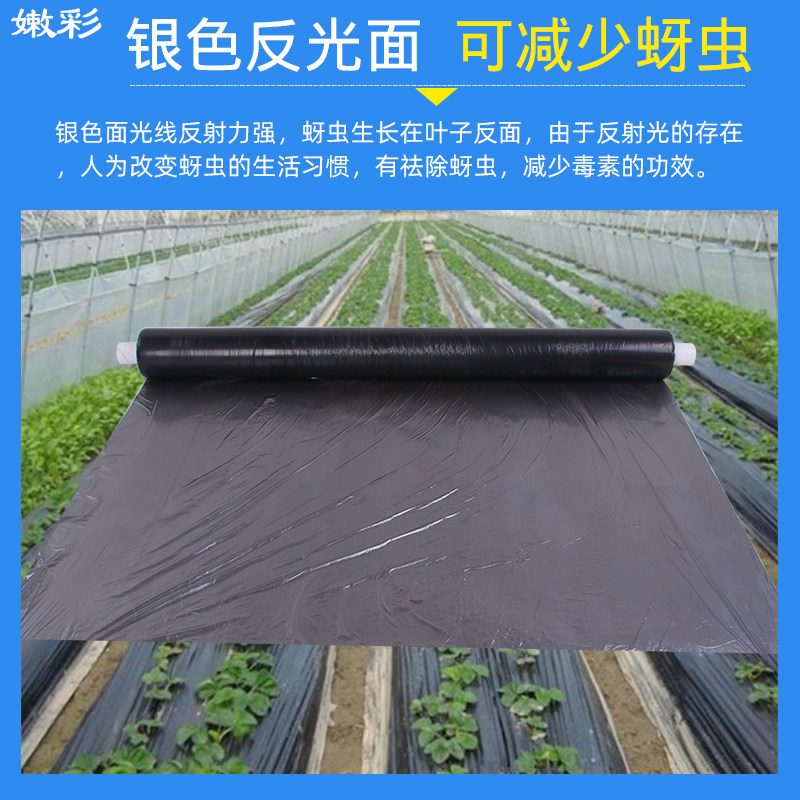 地膜农用银黑反光地膜薄膜除草种植除草膜保温保湿蔬菜大棚种植 - 嫩