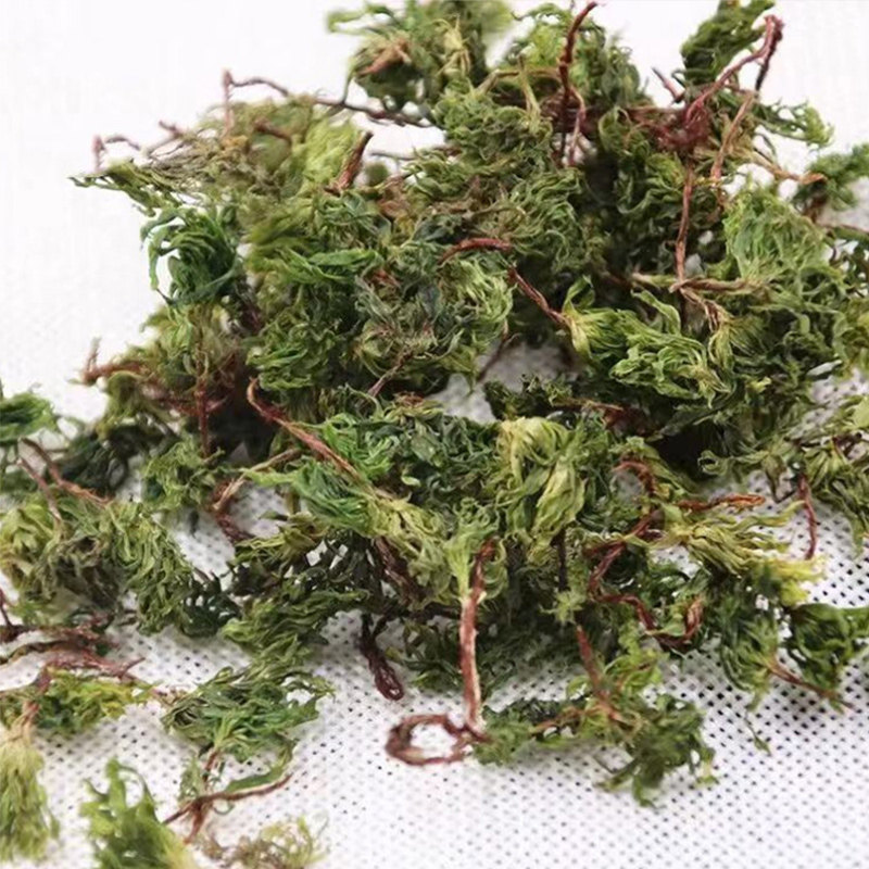 回心草正品云南中药材天然野生回心草150g大叶藓茴薪草茴心草晒干