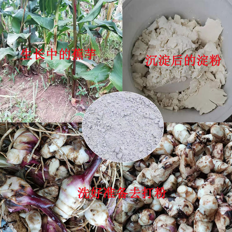 藕粉姜藕粉炸酥勾芡芭蕉蕉芋淀粉干旱晒干自然其它