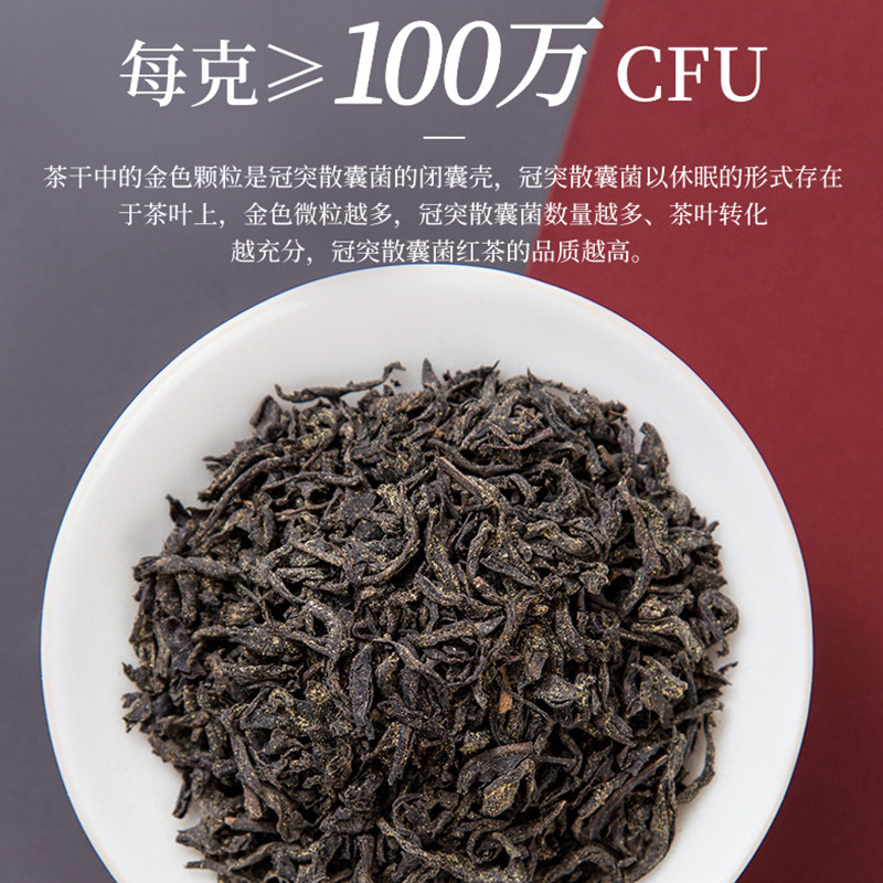 高端茶礼元正益生菌冠突散囊菌红茶茶叶200g礼盒中粮联合研发