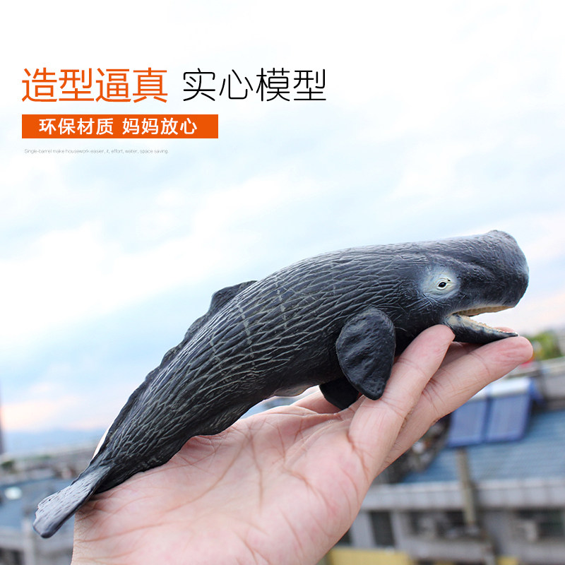 仿真海洋生物模型大号抹香鲸玩具鲸鱼实心海底世界仿真