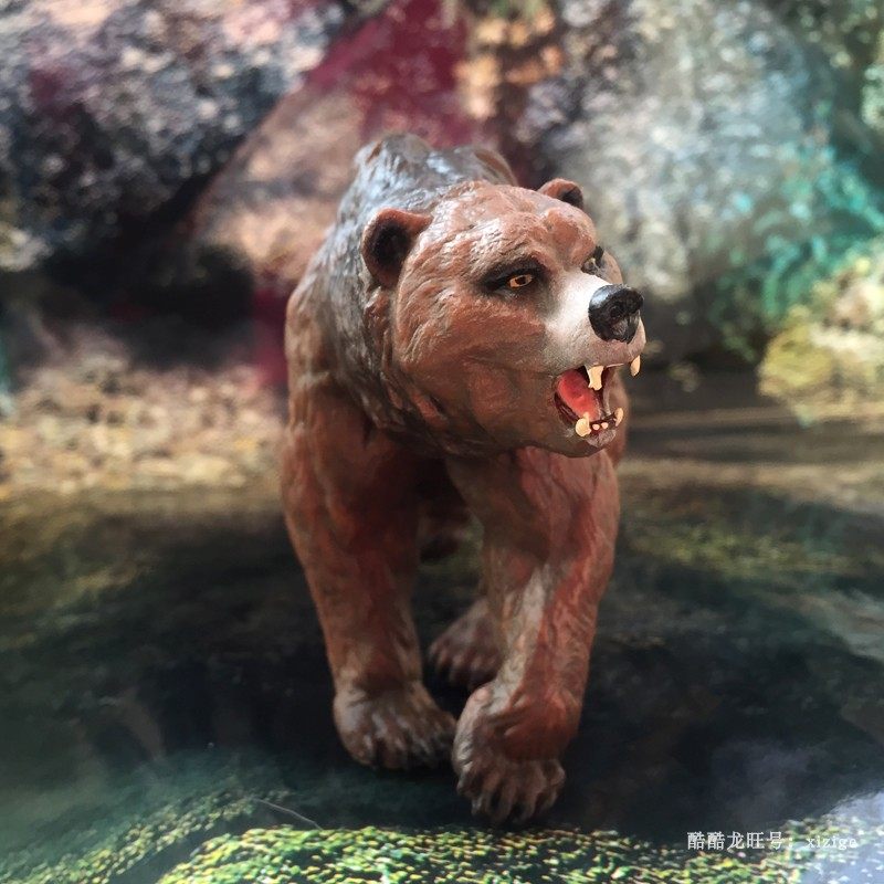 男生摆件法国papo欧美正版洞熊静态动物模型仿真