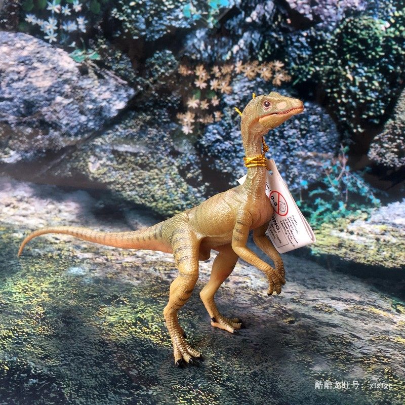 儿童玩具法国papo欧美正品恐龙模型美颌龙秀颚龙仿真