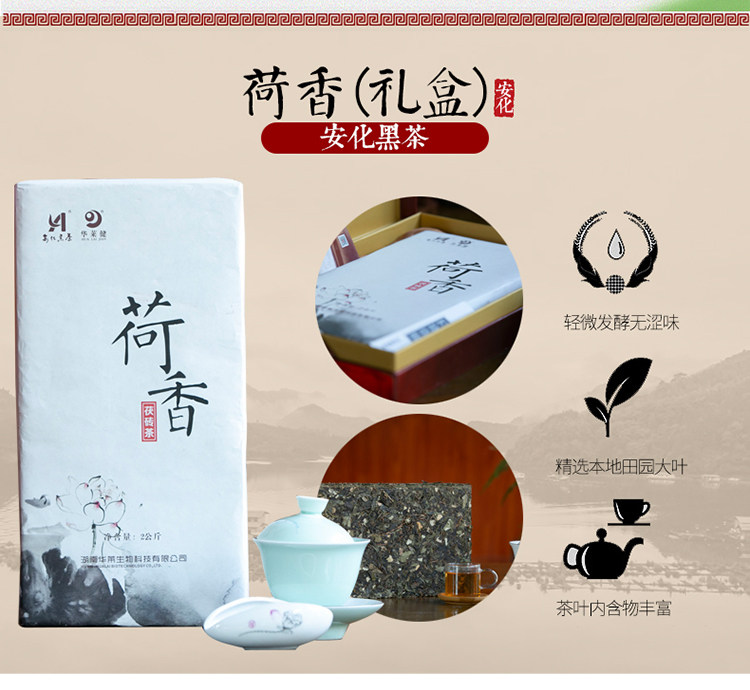 湖南安化华莱健荷香茯砖2kg官方电子商务正品高级安化黑茶