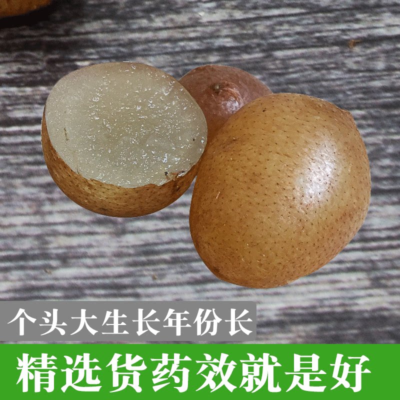 贵州中药材现挖新鲜骝卵蛋马凤凰肾蕨野生化狗其他药食同源食品