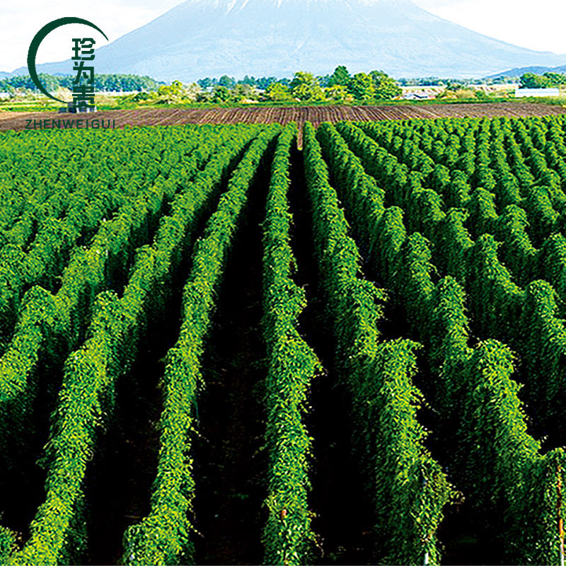 有机蔬菜铁棍山药新鲜粉糯3斤标准种植新鲜山药