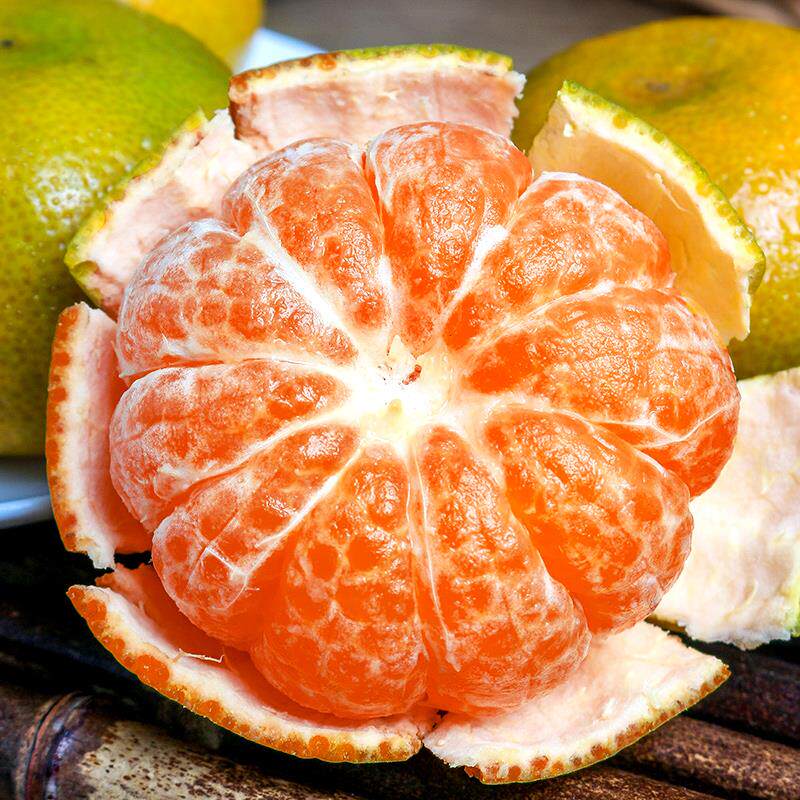 蜜桔新品种青皮日南一号桔苗早熟柑橘嫁接无核果树