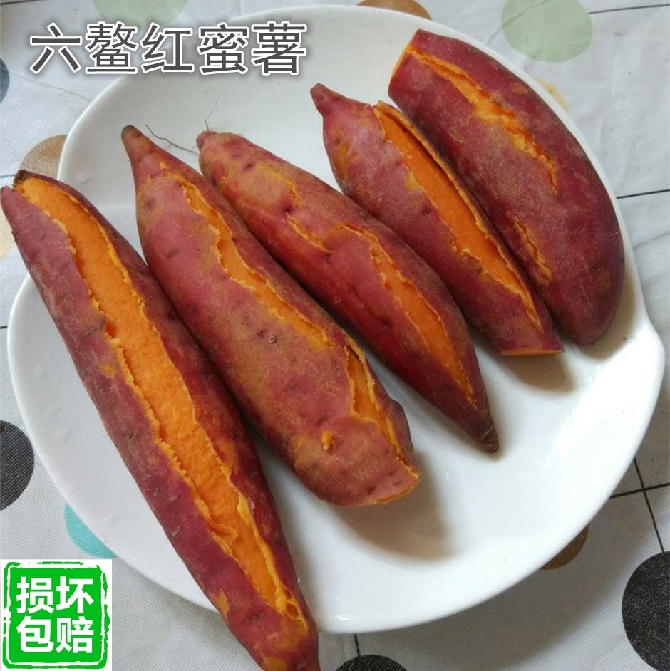 糖心红薯福建六鳌红蜜薯署鳖蟹沙地红心番薯番薯