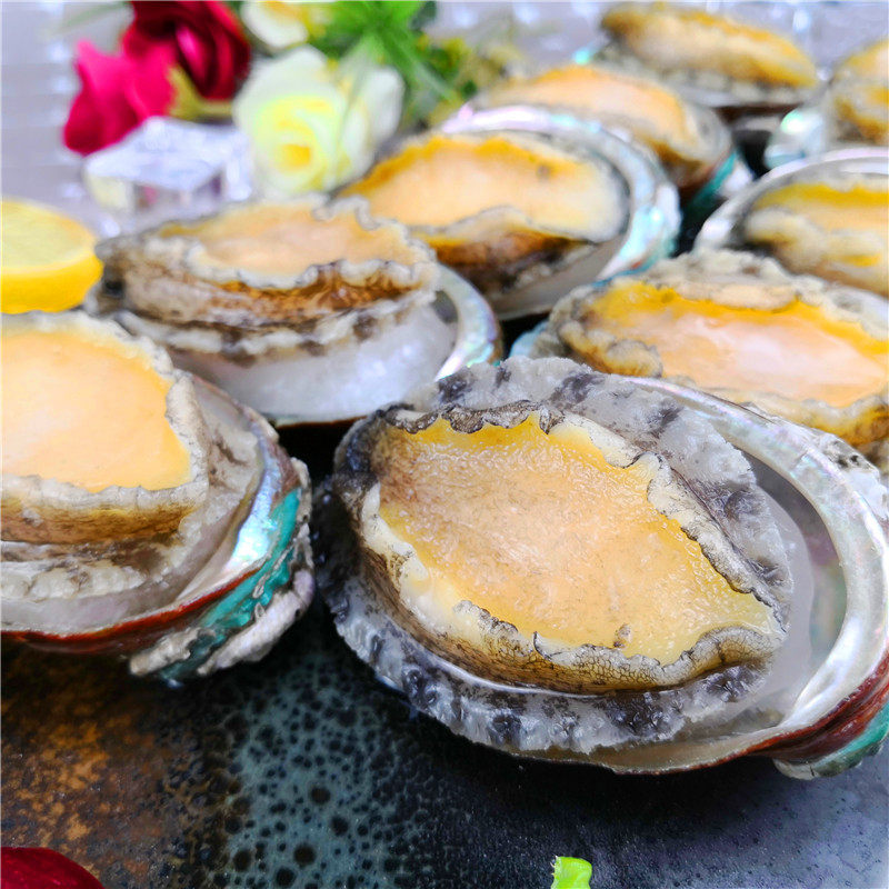 鲍鱼洗去内脏10头大个冷冻特大加热即食新鲜鲍鱼
