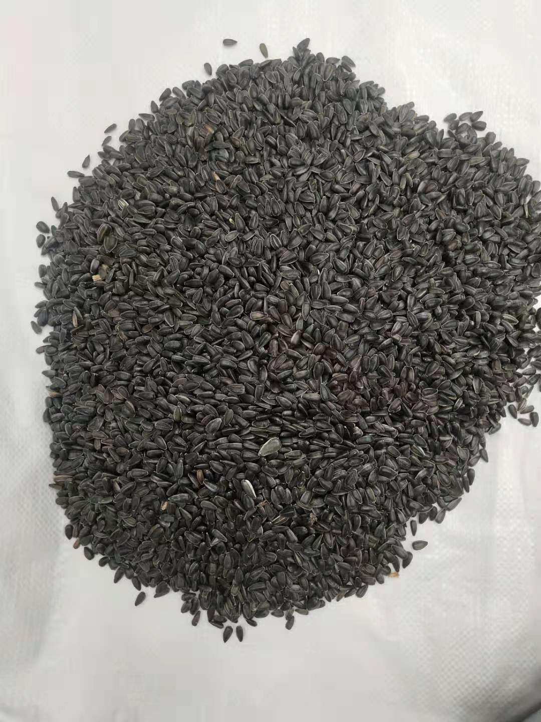 10斤装油葵籽小瓜瓜子鸟食仓鼠零食虎皮玄凤鸟食