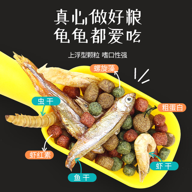 Small turtle feed universal turtle food fish dry shrimp dry freshwater Brazilian turtle Tortoise Turtle feed special food grain Small turtle feed universal turtle food fish dry shrimp dry freshwater Brazilian turtle Tortoise Turtle feed special food grain
