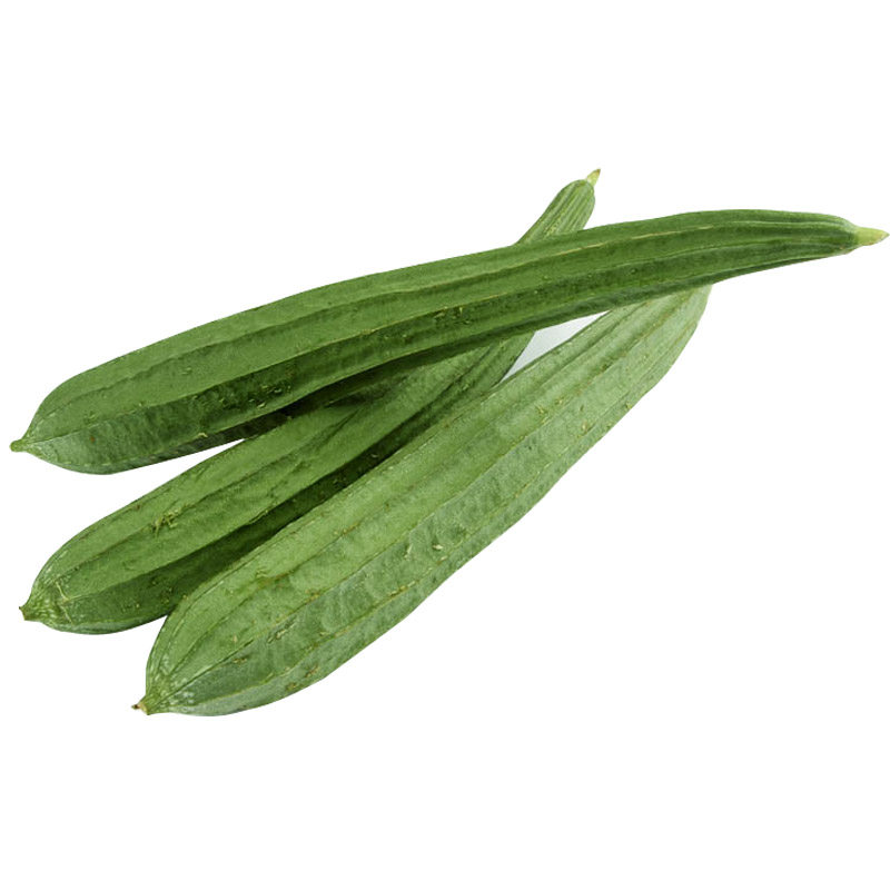 棱丝瓜 八角丝瓜种子寿甜一号丝瓜种籽 四季种农家特长丝瓜 包邮