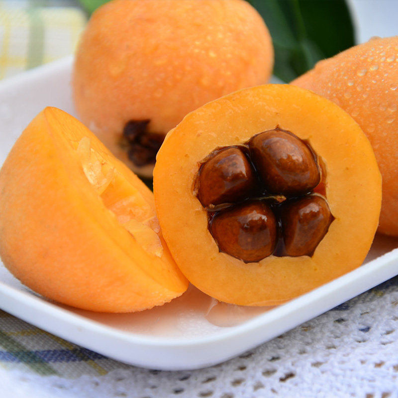 水果现货琵琶包邮季水果果应整箱四川5斤枇杷枇杷