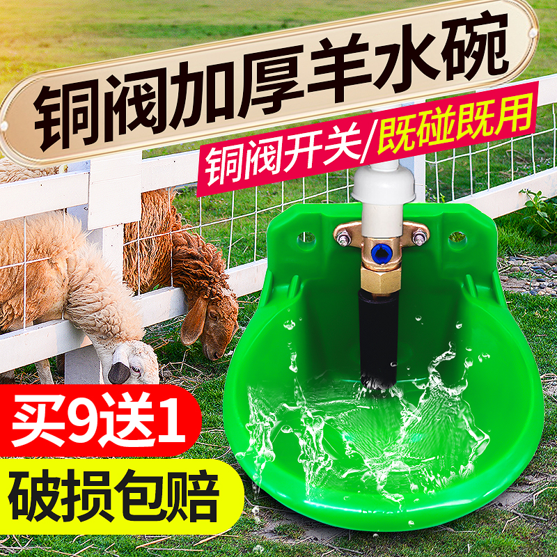 饮水喝水养羊设备羊用羊场水槽自动羊水畜牧