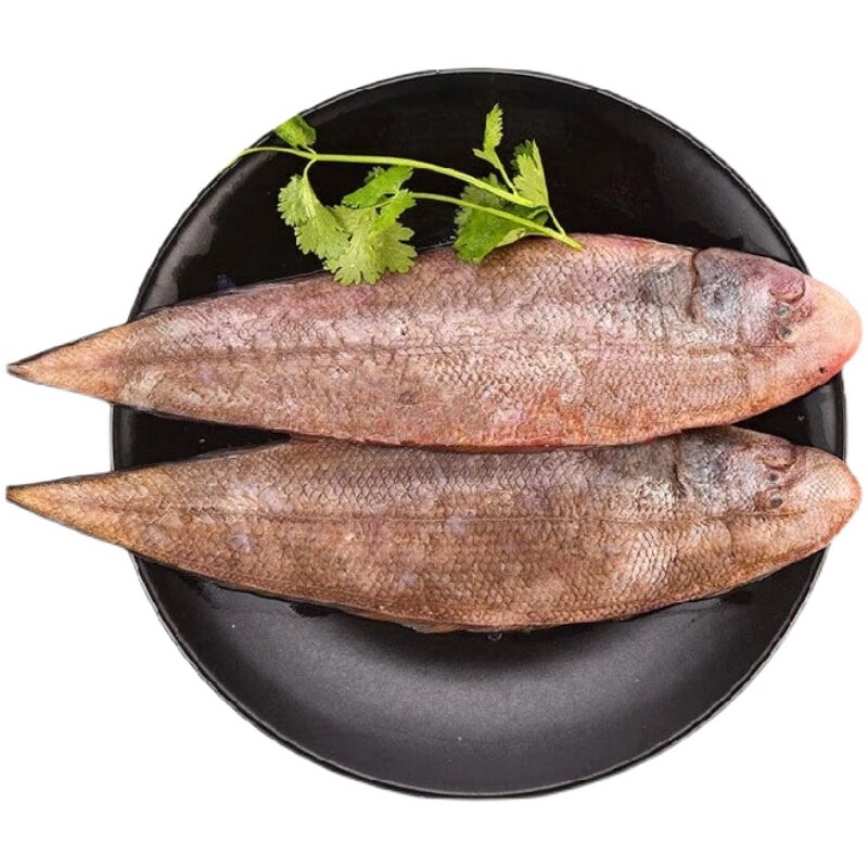 龙利新鲜龙舌鲜活舌头冷冻水产深海海鱼踏板巴沙鱼