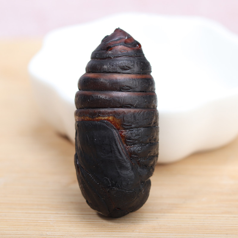 榛鲜御品东北土特产柞蚕蛹新鲜活大黑活茧蛹蝉蛹500g2斤包邮