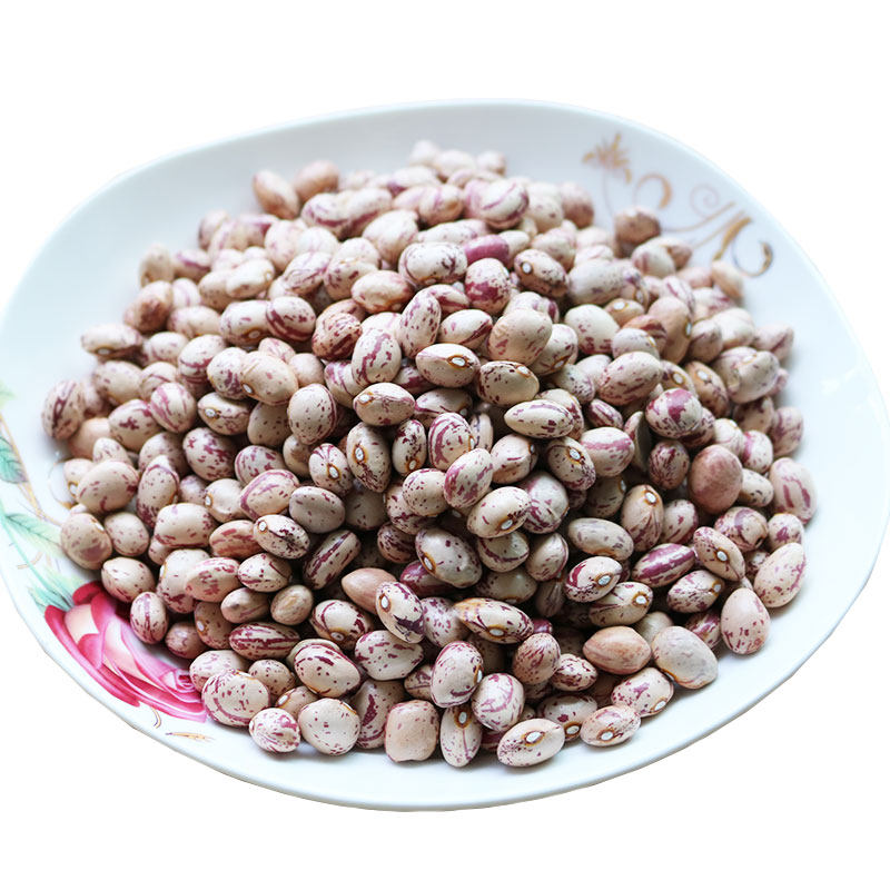 贵州特产农家自种花芸豆豆米火锅底料雀蛋豆圆粒大粒饭豆新鲜粉糯
