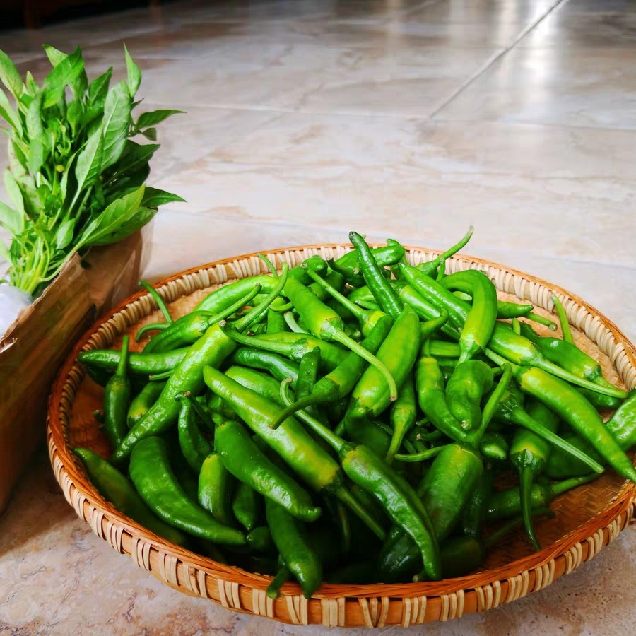 樟树港辣椒1斤顺丰包邮现摘