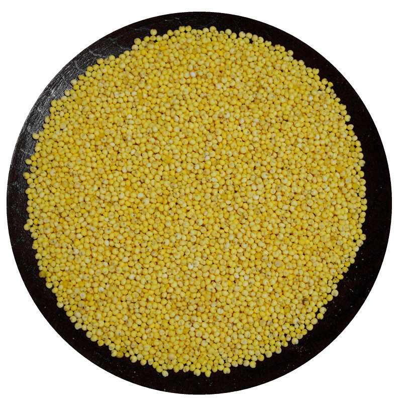 粽子陕北黏粘米粥小米糯米黄软米包粽子新米农家糯米