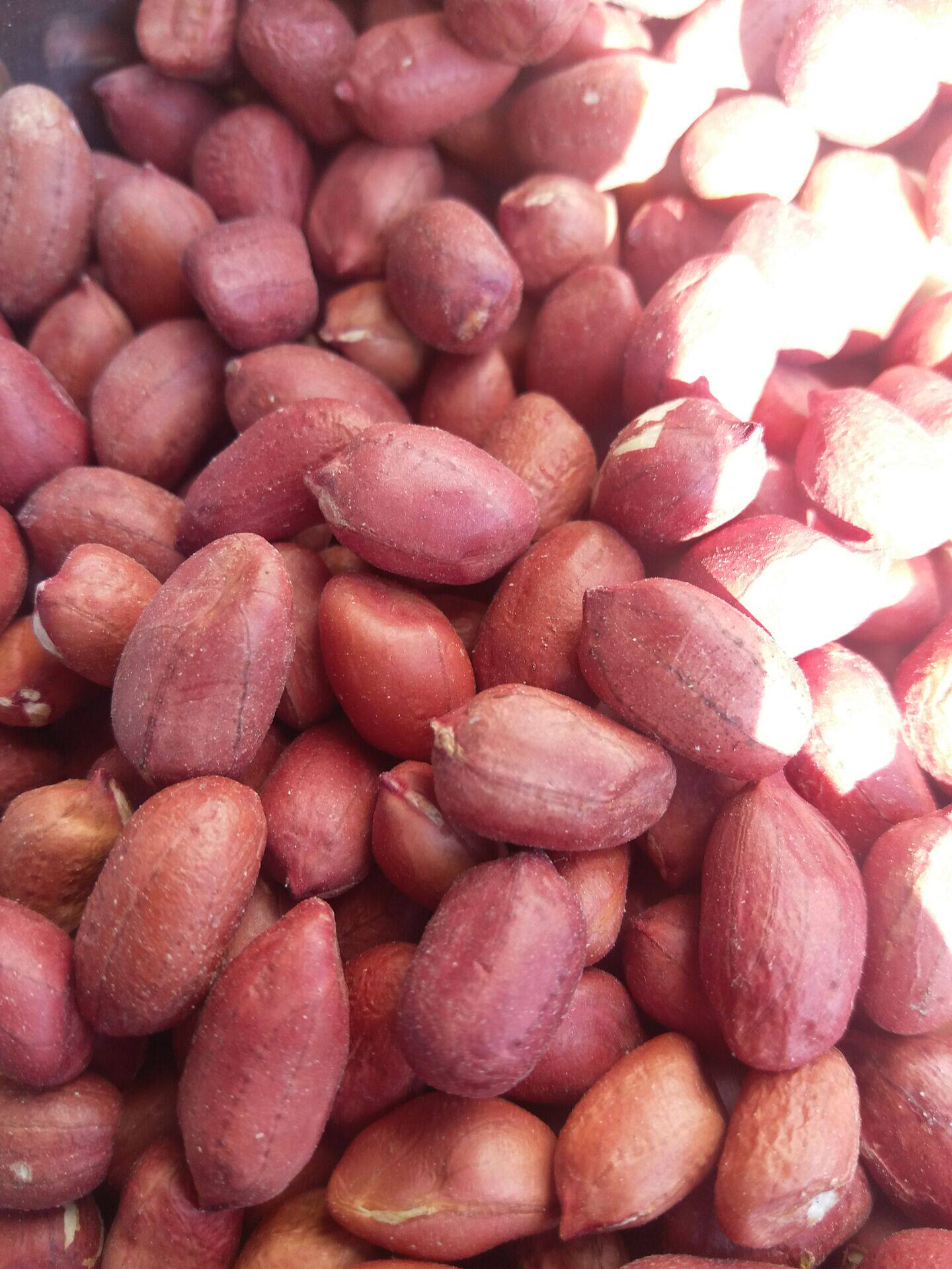 花生米花生上市杂粮红皮优质红衣500g花生