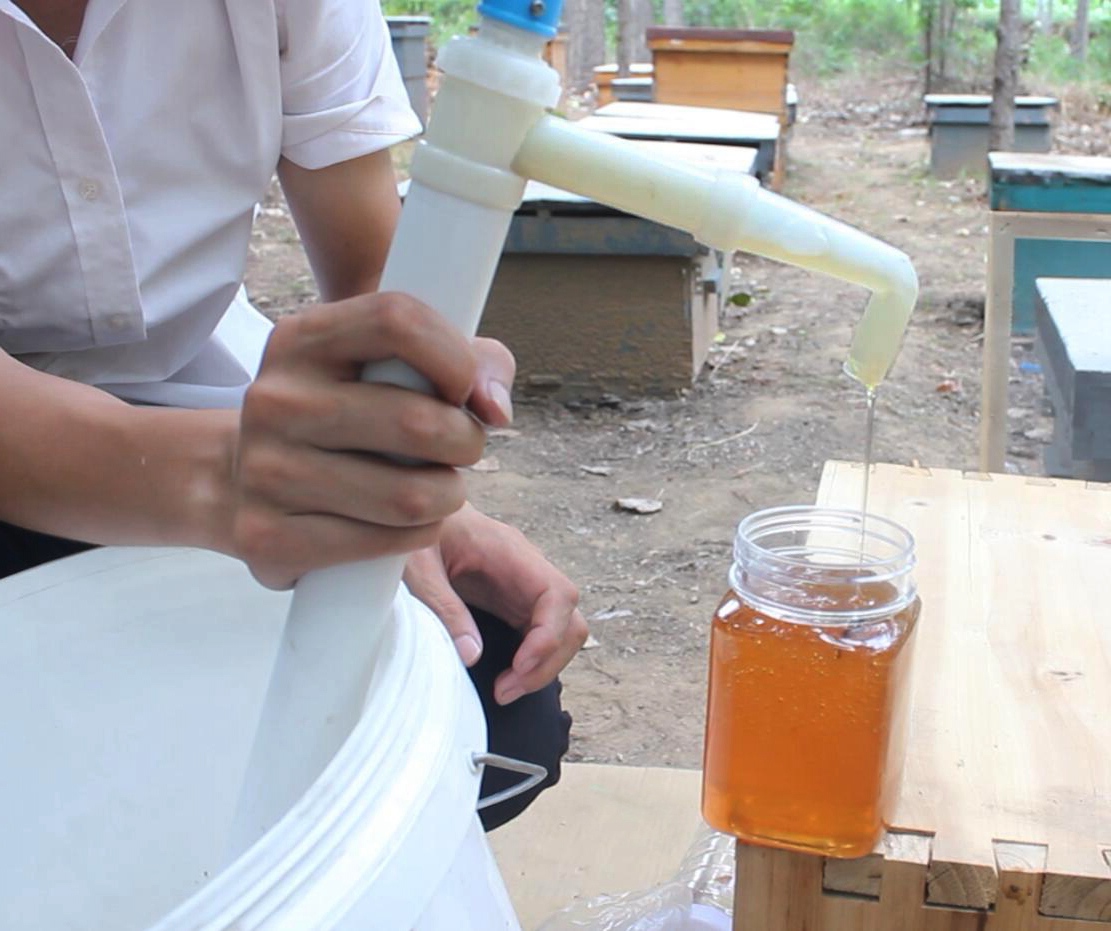 抽蜜机抽蜜器小型抽蜜器养蜂工具专用蜂蜜抽引装瓶器蜂蜜灌装用
