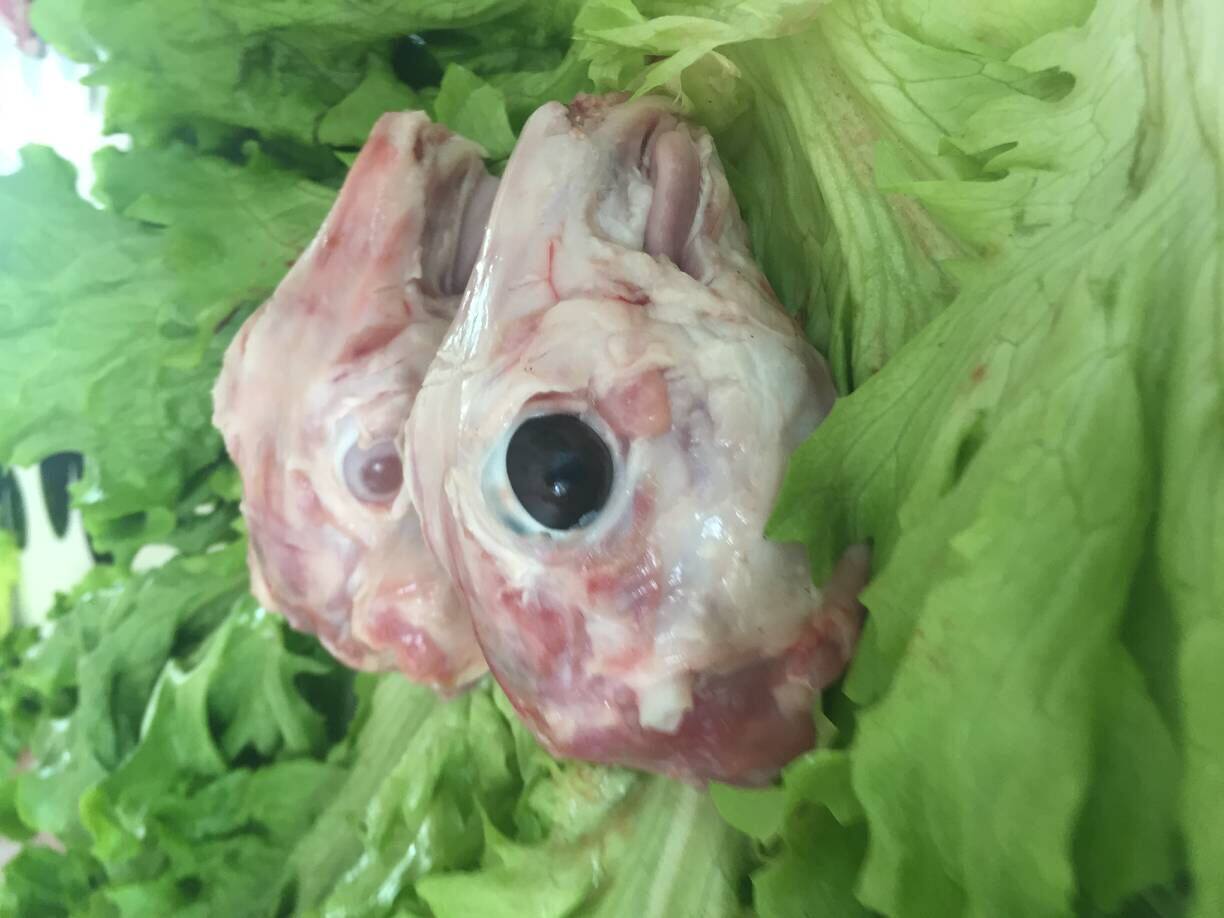 兔头新鲜兔子头现杀活麻辣脑壳真空包20斤其它生肉制品