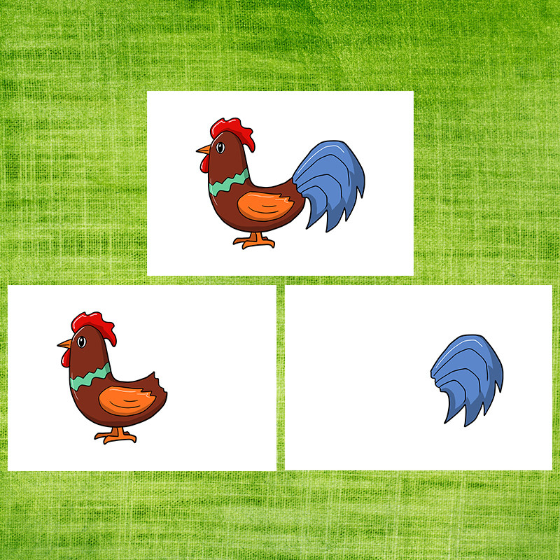 动物尾巴花纹配对自闭症孤独症康复训练教具儿童玩具挂图