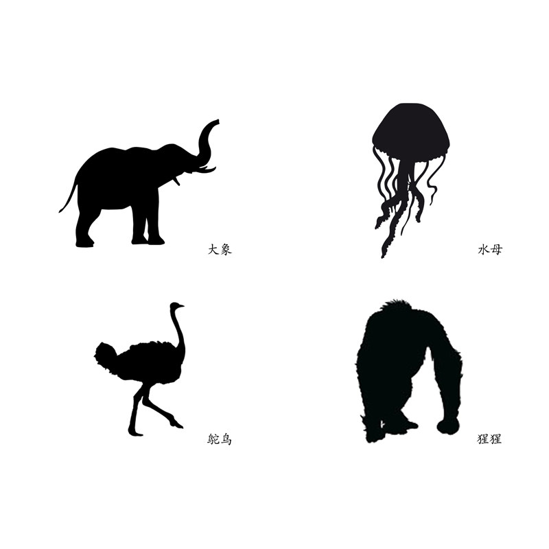 动物影子轮廓自闭症孤独症发育迟缓思维训练卡片玩具挂图