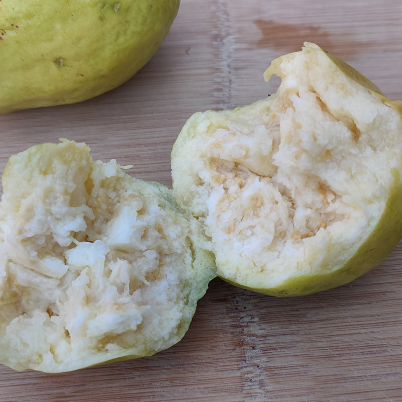 顺丰诏安富硒当季孕妇水果黄皮白心芭乐软香甜芭乐