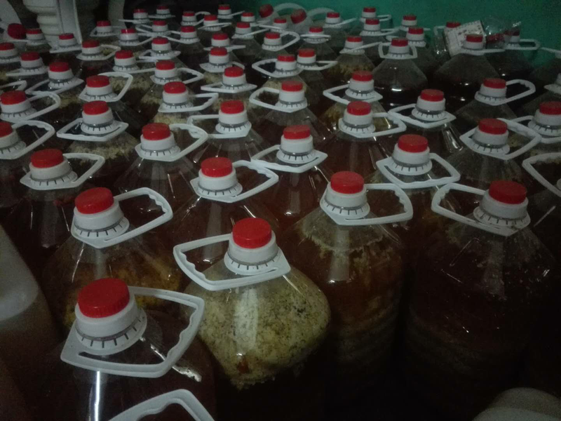 河南特产南阳邓州刘集小米黄酒药引子中老年养生纯粮陈酿5斤包邮