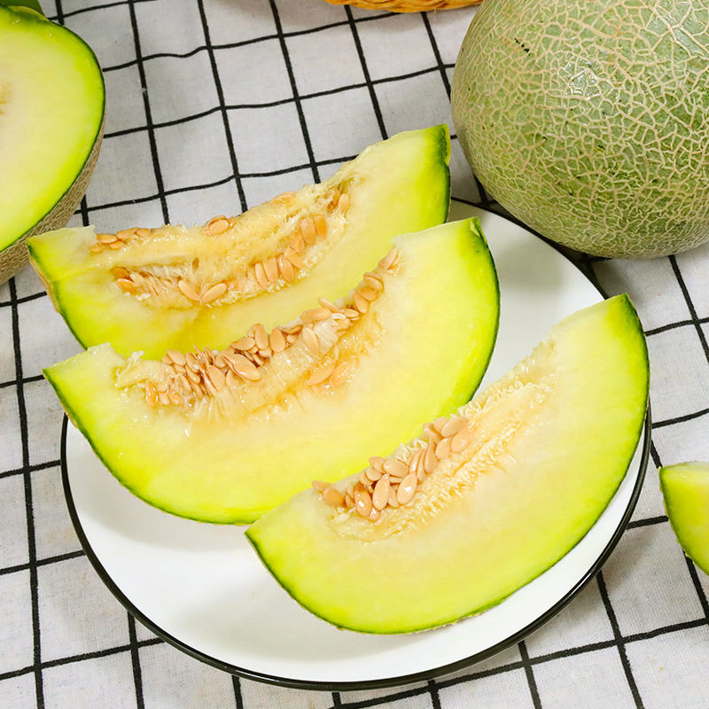 海南玫珑蜜瓜网纹哈密瓜梅陇新鲜水果日本静冈哈密瓜