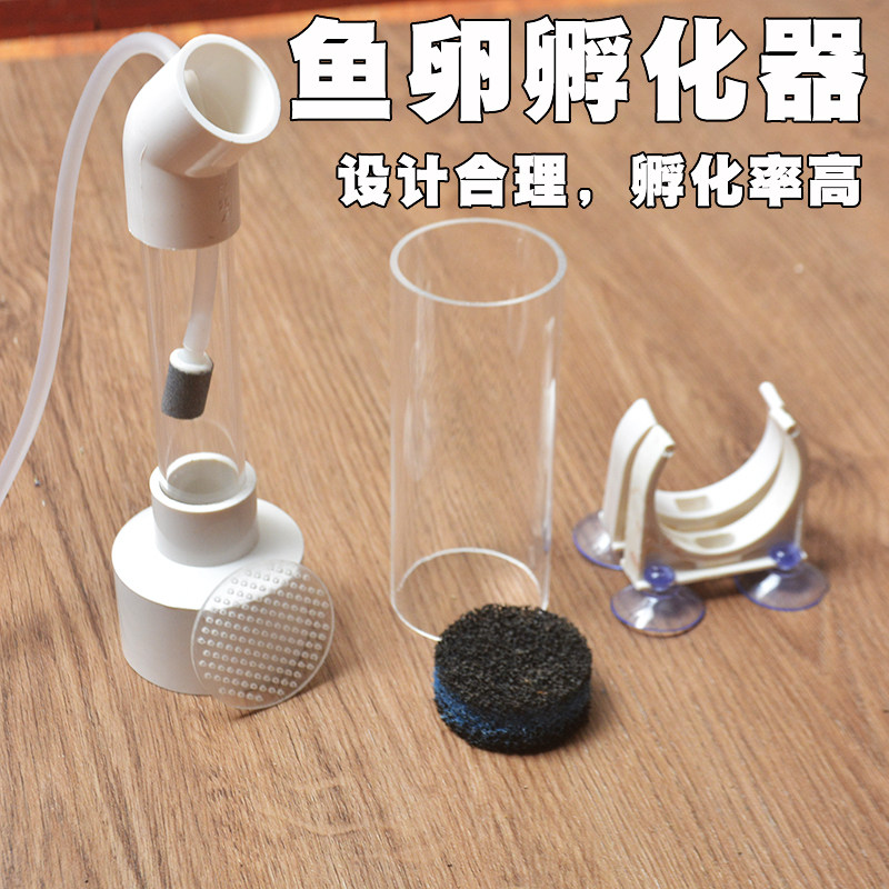 鱼卵繁殖孵化器三湖慈鲷马鲷小型异形孵化观赏鱼孵化器