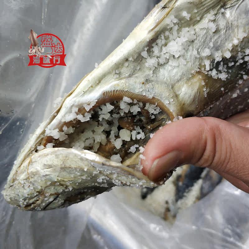 梅香广东马鲛鱼马胶鱼咸鱼马交鱼整条称重销售茄子马鲛鱼