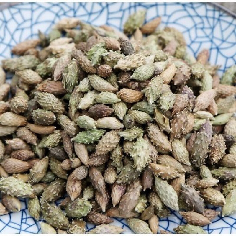 苍耳亳佰中药材生苍500g包邮特级新货鼻苍耳草毛其他药食同源食品