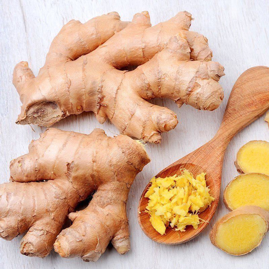 广东生姜辣姜大小黄姜1斤5斤10斤月子老姜生姜