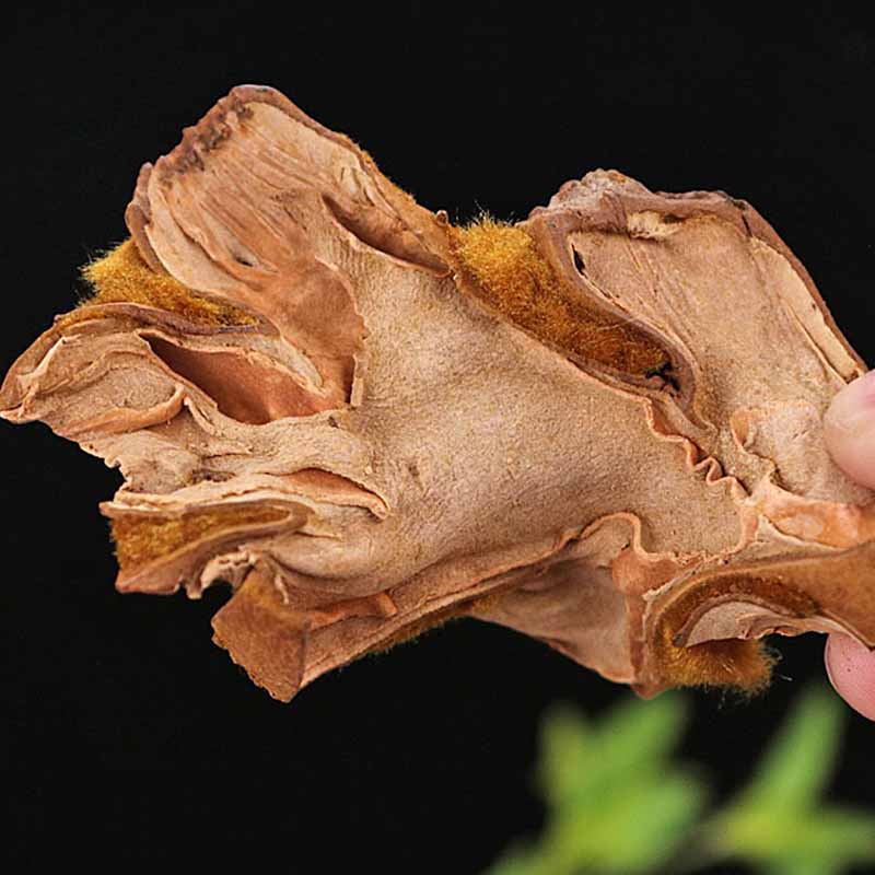 狗脊新货中药材500g包邮无精选非粉农产品金毛干净其他药食同源食品