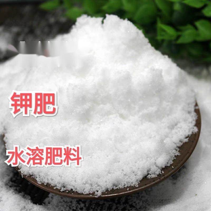 农用无土栽培冲施营养叶面家庭花肥水溶组培高钾肥介质