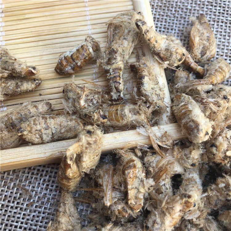 蚕蛾公魏天蝉蛾料晚泡酒干货新干货原雄野生50克其他药食同源食品