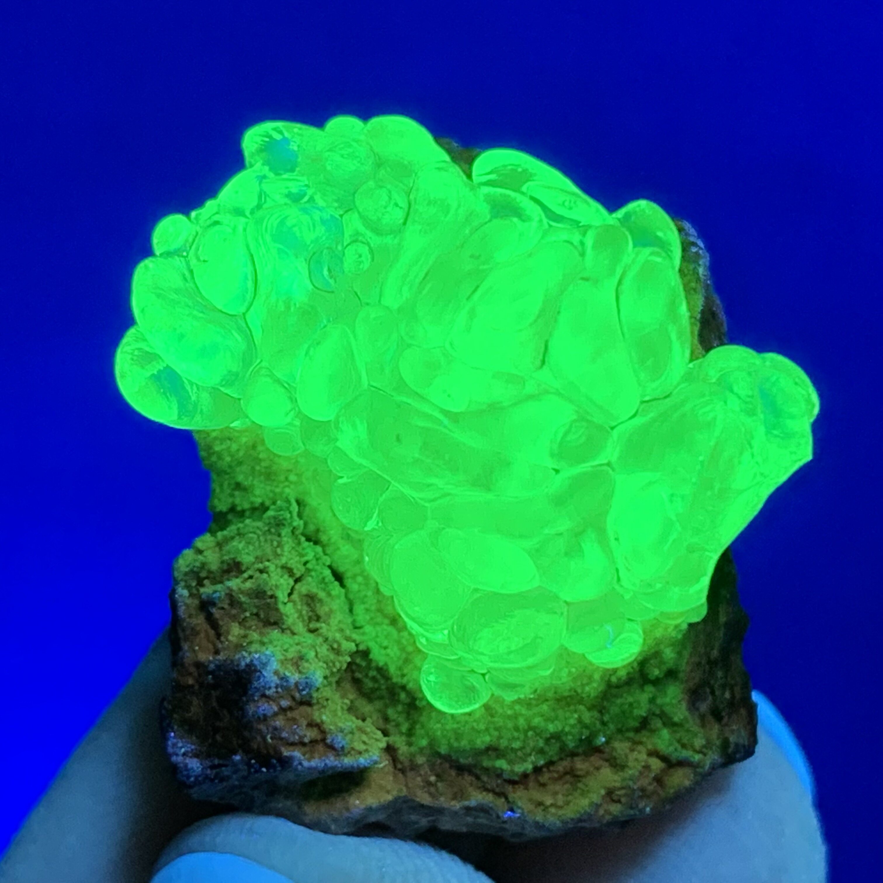 天然玉滴石荧光矿物绿色晶体原石矿石矿标宝石摆件