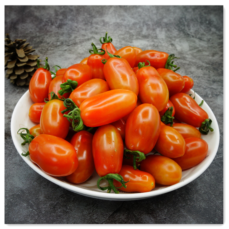 柿子花生丹东东港特产碱地番茄新鲜水果5斤柿子