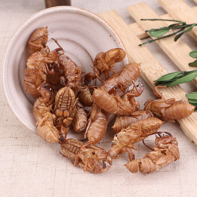 蝉蜕金蝉正品天然中药材500g包邮土特产水洗知了其他药食同源食品