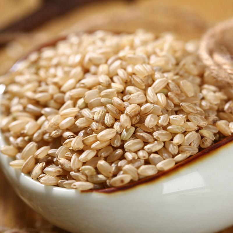 五斤糙米东北大米胚芽玄米活米粗粮五谷杂粮包邮糙米