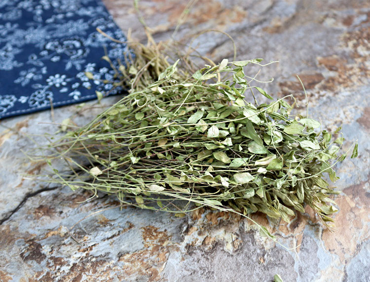 瓜子中药材野生金草挂米辰砂草包500克干品其他药食同源食品