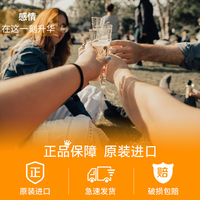 原装进口禧蓓西打啤酒fizzcider500ml组合4口味pk瑞可啤酒