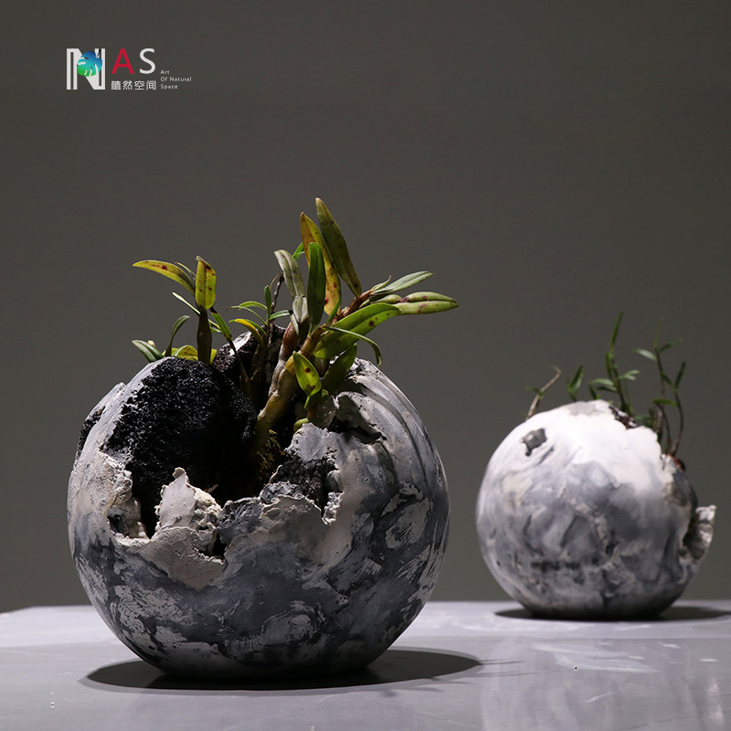 植然空间创意绿植盆栽花卉新奇装置艺术桌面创意迷你植物