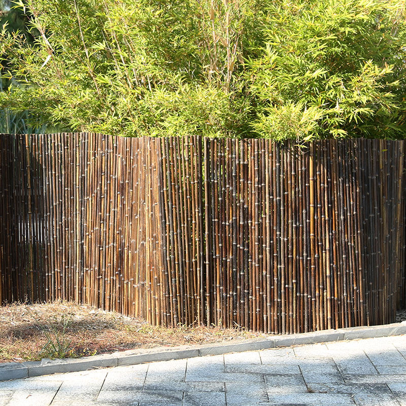 别墅院子庭院竹子围墙隐私篱树栅栏竹墙紫竹大型篱笆