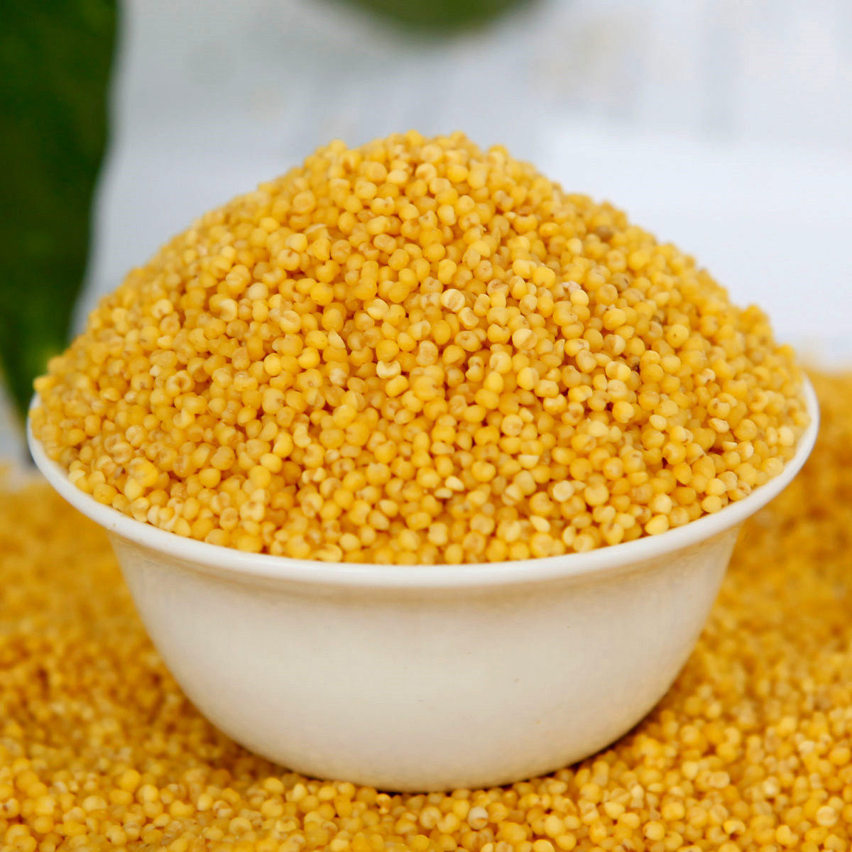 2021新米金乡农家自种马庙金谷小米小米粥小黄米宝宝月子米5斤装